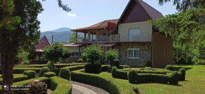 Guest House Vila Aleksa-apartman